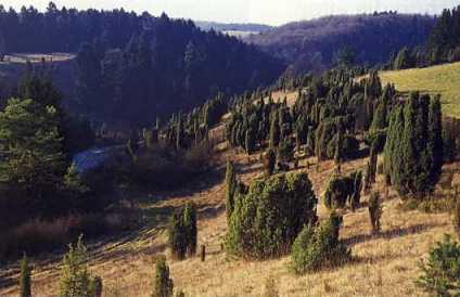 Landschaft.jpg (18034 Byte)