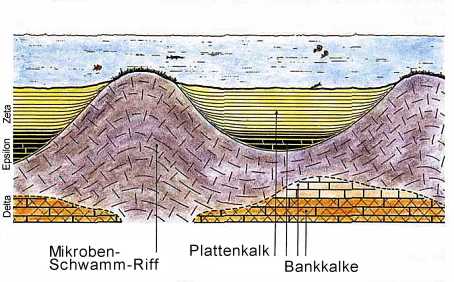 Bild 1-2_klein, Schwammriffe.jpg (44957 Byte)